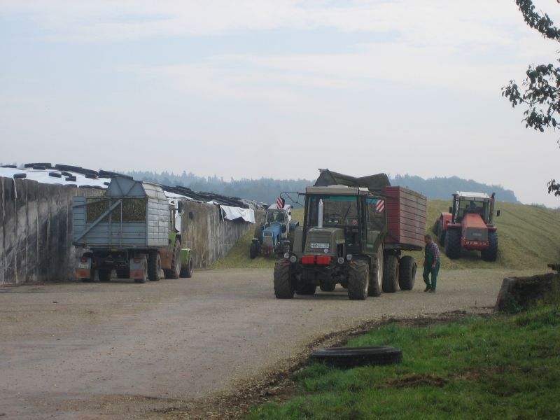 bilder/25_5_2005/jaguar_fendt_824_7.jpg